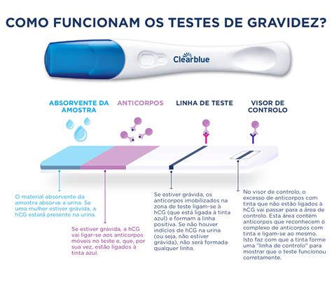 Teste de Gravidez (BHCG) 